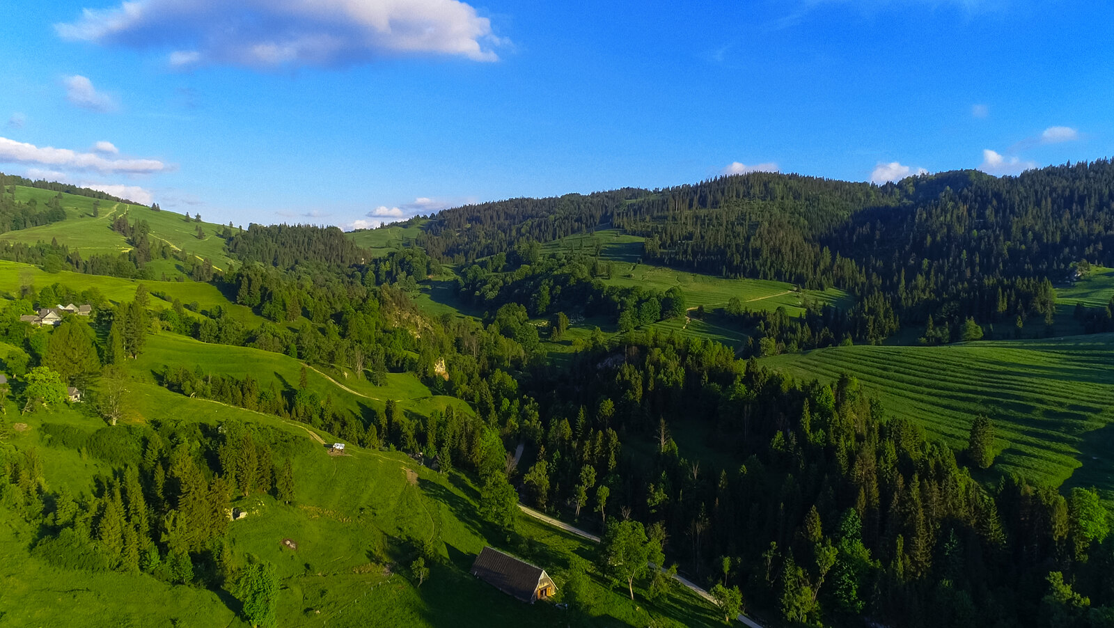 Rozległa panorama zielonych wzgórz i łąk w okolicach Jaworek, z zachowanym układem tradycyjnych tarasów rolniczych