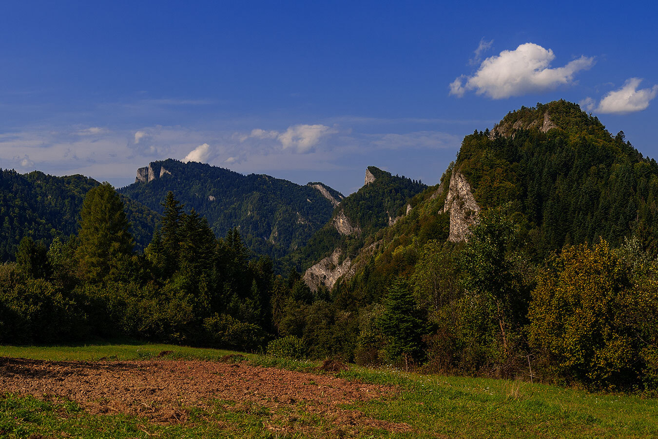 Szeroka panorama widokowa na zielone doliny Pienin i górujące nad nimi charakterystyczne, ostre formacje skalne