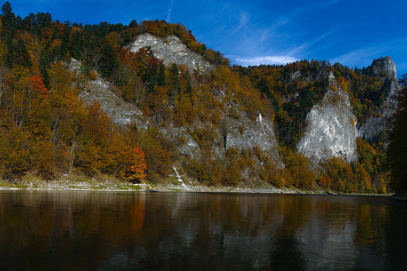 Spokojny nurt rzeki Dunajec odbijający jesienne barwy lasu i strome górskie zbocza w Pienińskim Parku Narodowym