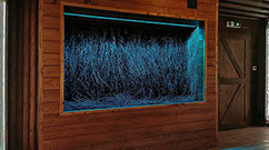 Grota Solna w Pienińkiej Grocie